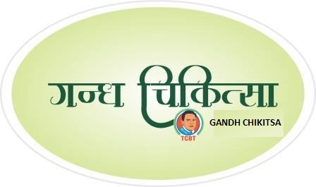Gandh Chikitsa Device mark 6046713 Trademark