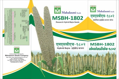 Msbh - 1802 Device mark 6054487 Trademark