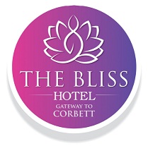 The Bliss Device mark 6056451 Trademark