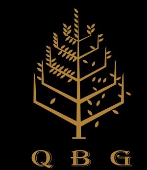 Qbg Device mark 6057365 Trademark