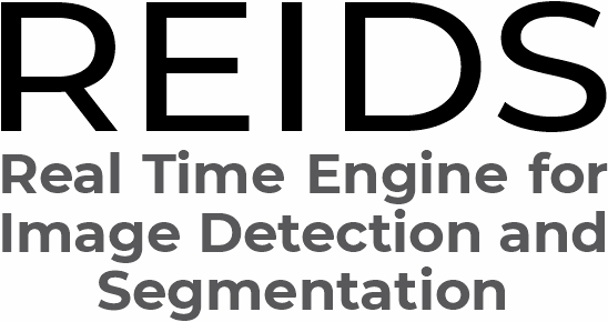 Reids - Real Time Engine For Image Detection And Segmentation Device mark 6058244 Trademark