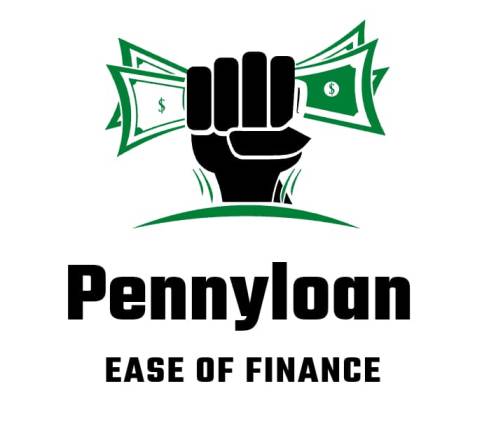 Pennyloan Device mark 6065013 Trademark