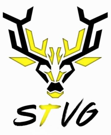 Stvg Device mark 5709656 Trademark