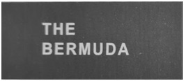 The Bermuda Device Device mark 5806928 Trademark