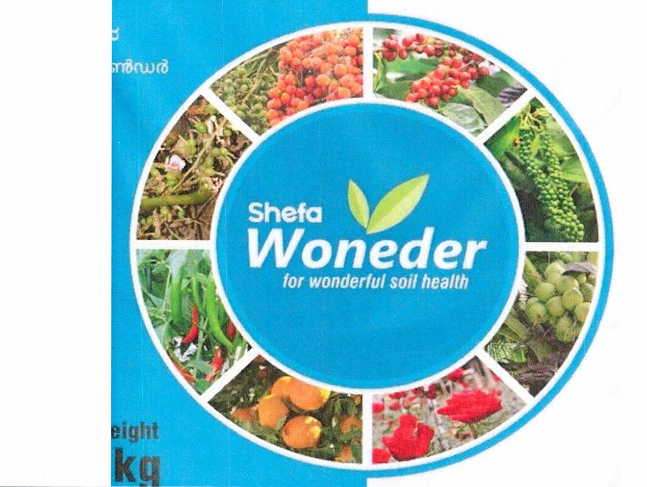 Shefa Woneder Device mark 6054559 Trademark