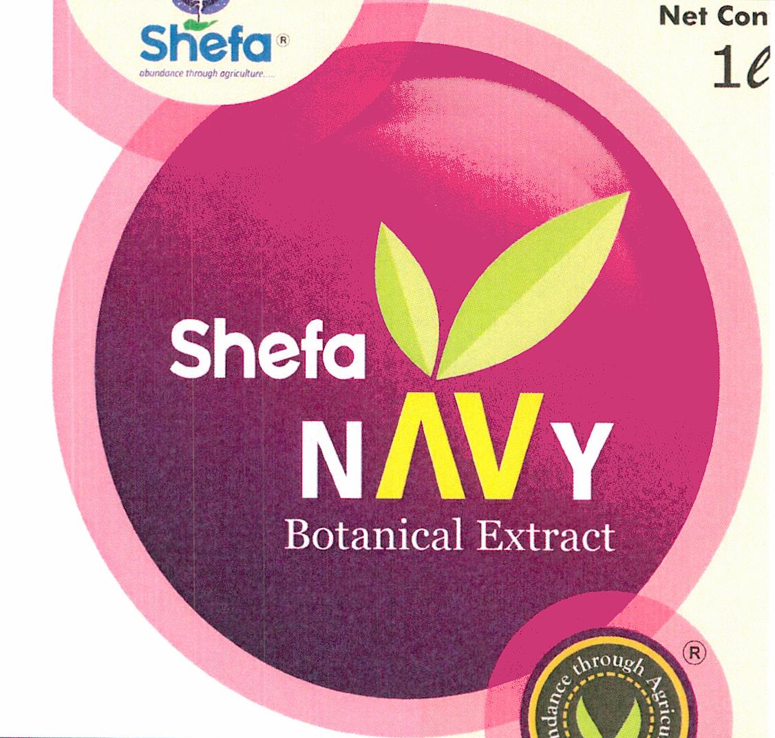 Shefa Navy Botanical Extract Device mark 6054564 Trademark