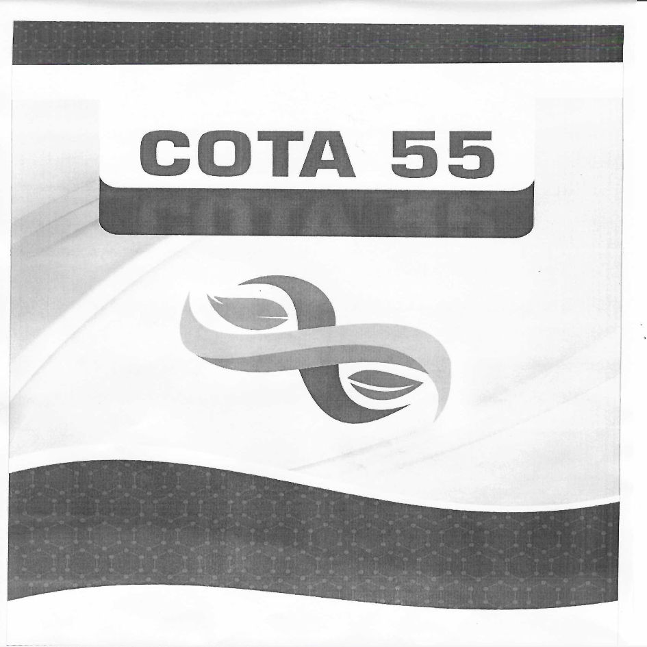 Cota 55 Device mark 6054978 Trademark