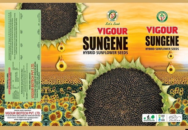 Vigour Sungene Device mark 6067343 Trademark