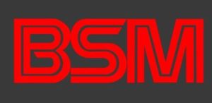 Bsm Device mark 6067938 Trademark