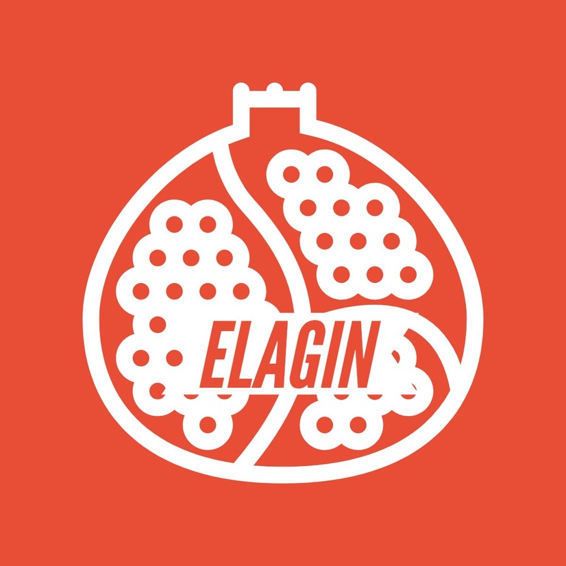 Elagin Device mark 6068513 Trademark