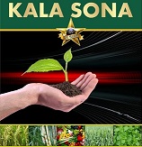 Kala Sona Device mark 6069772 Trademark