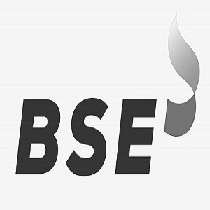 Device Of Bse Device mark 6075957 Trademark