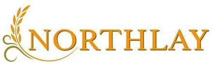 Northlay Device mark 6080600 Trademark