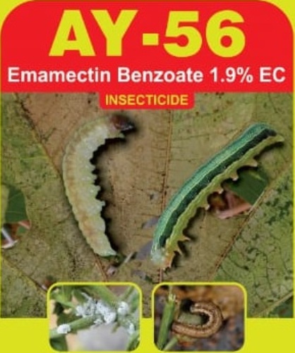 Ay-56 Device mark 6081258 Trademark