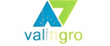 Valingro Device mark 6081568 Trademark