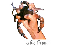 Sristi Vigyan Device mark 6081978 Trademark