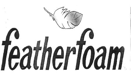 Feather Foam Device mark 6091334 Trademark