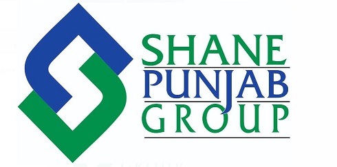 Shane Punjab Group Device mark 6095183 Trademark