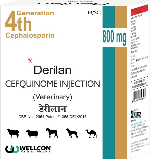 Derilan Device mark 6097155 Trademark