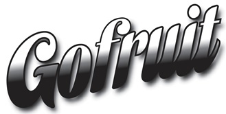 Gofruit Device mark 6099673 Trademark