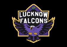 Lucknow Falcons Device mark 6111156 Trademark
