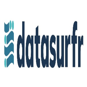 Datasurfr & Device Device mark 6117472 Trademark