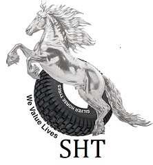 Sht Device mark 6120891 Trademark