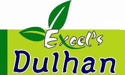 Excel-s Dulhan Device mark 2873634 Trademark