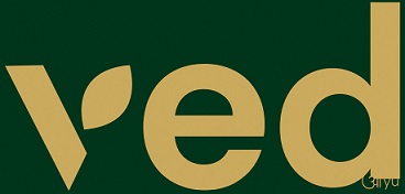 Vedayu Device mark 6145081 Trademark