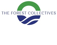 The Forest Collectives Device mark 6148282 Trademark