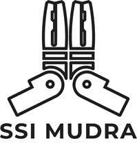 Ssi Mudra Device mark 6153228 Trademark