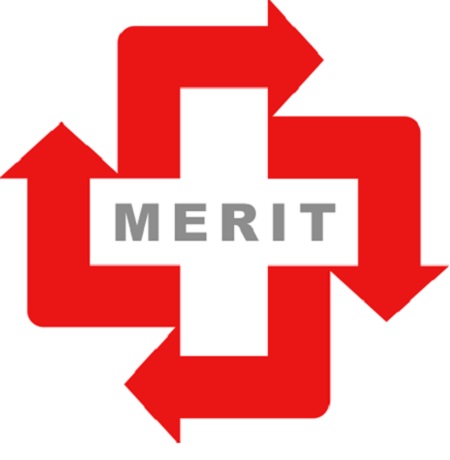 Merit Device mark 6157141 Trademark
