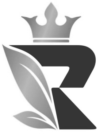 R Logo Device mark 6158196 Trademark