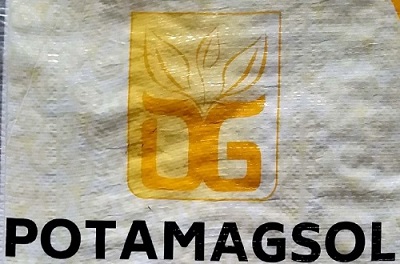 Dg Potamagsol Device mark 6158794 Trademark