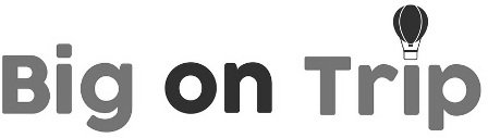 Big On Trip With Skyballon Logo Device mark 6162491 Trademark