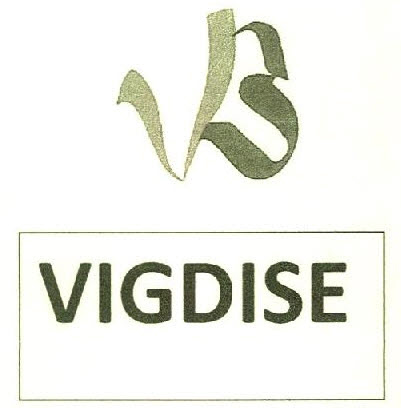 Vigdise Device mark 2746495 Trademark