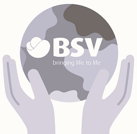 Bsv – Bringing Life To Life Device mark 6169262 Trademark