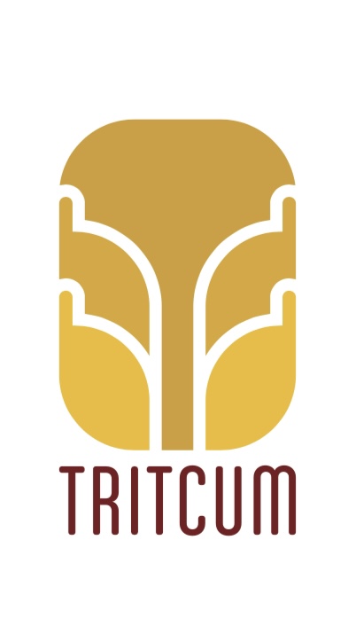 Tritcum Device mark 6174442 Trademark