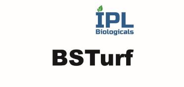 Ipl Biologicals - Bsturf Device mark 6174489 Trademark
