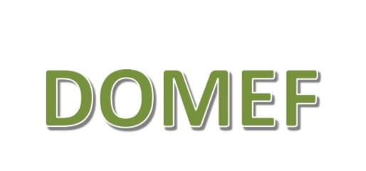 Domef Device mark 6176501 Trademark