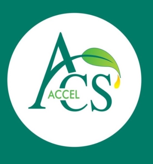 Acs Accel Device mark 6179657 Trademark
