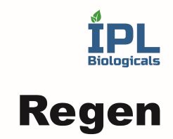 Ipl Biologicals - Regen Device mark 6183445 Trademark