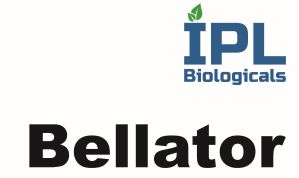 Ipl Biologicals - Bellator Device mark 6183417 Trademark
