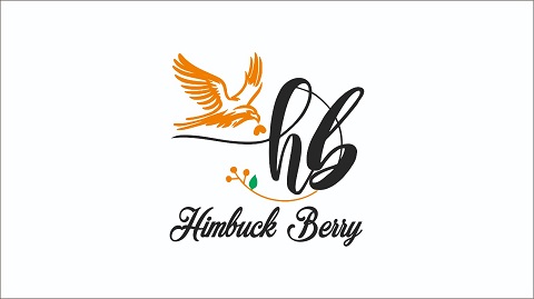 Himbuck Berry Device mark 6183433 Trademark