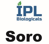Ipl Biologicals - Soro Device mark 6183408 Trademark