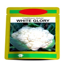 White Glory Device mark 6184519 Trademark