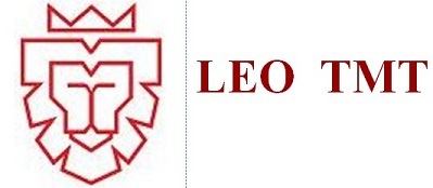 Artistic Logo Along With Leo Tmt Device mark 6186041 Trademark