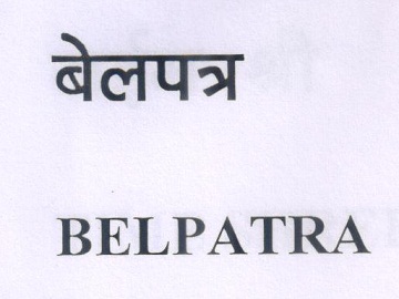 Belpatra Device mark 6185832 Trademark