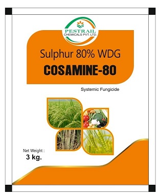 Cosamine-80 Device mark 6197981 Trademark