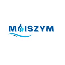 Moiszym Device mark 6197617 Trademark